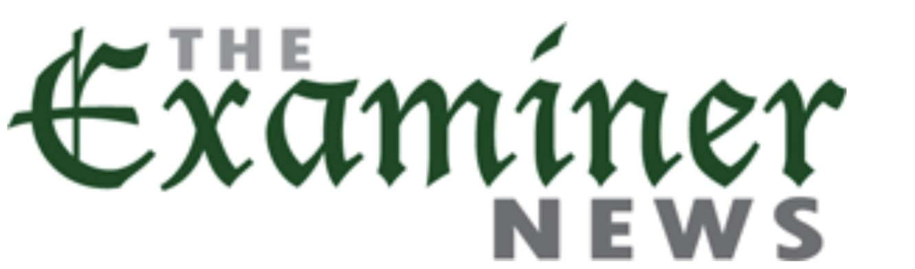 The Examiner